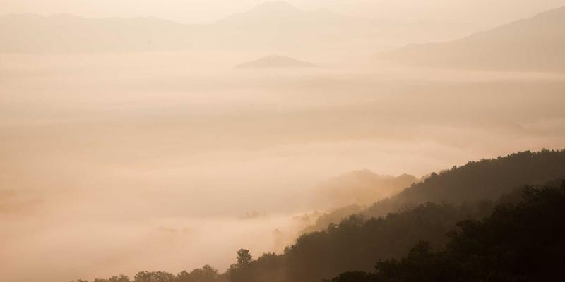 从画室到天地：思艺工作坊教你如何在大地与城市中唤醒沉睡的艺术灵感