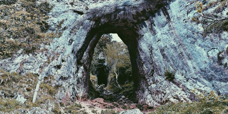 在线美术VS传统面授：思艺培训深度解析艺术教育新格局