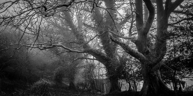 当画笔遇见舞步：在思艺艺术治疗工作坊中，开启非言语的情绪疗愈之旅