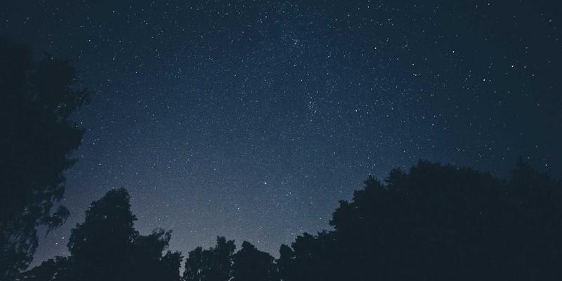 思艺培训80:解锁音乐与绘画潜能,开启艺术人生的黄金法则