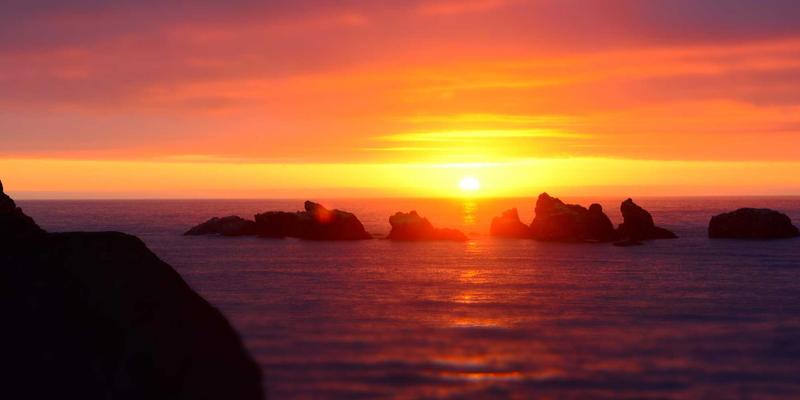 思艺培训暑期创意美术夏令营：用画笔与舞姿点亮孩子的艺术盛夏