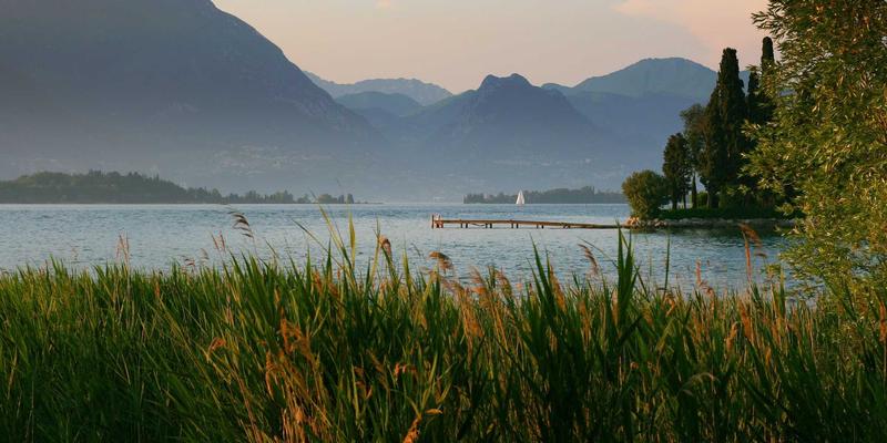 思艺培训深度评测：舞蹈与艺术课程如何点亮孩子的成长之路？